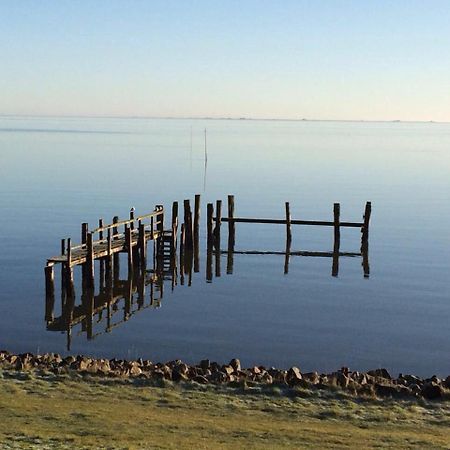 Inselhotel Kapitaen Tadsen / Amrum 内伯尔 外观 照片